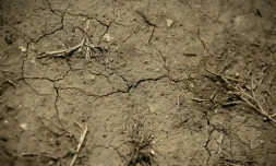Sol craquelé par la sécheresse dans le vignoble de Saint-Emilion, en Gironde, le 1er juin 2022
