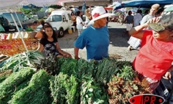 Marché local - Archives