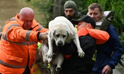Des secouristes polonais sauvent un chien et évacuent les habitants du village de Rudawa, dans le sud de la Pologne, le 15 septembre 2024, après le passage de la tempête Boris