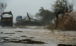 Des arbres arrachés, une route inondées, aprÚs le passage du cyclone Tauktae, le 18 mai 2021 prÚs de Diu, en Inde