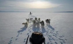 Le légendaire chasseur inuit d'ours polaires Hjelmer Hammeken part à la chasse au phoque prÚs d'Ittoqqortoormiit dans le fjord de Scoresby au Groenland, le 28 avril 2024