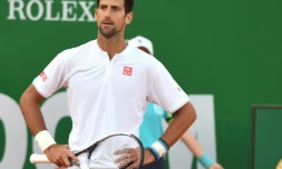 Le Serbe Novak Djokovic face au Belge David Goffin au Masters 1000 de Monte-Carlo, le 21 avril 2017