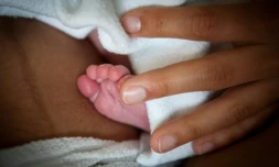 La proportion de femmes sans enfant ne cesse d'augmenter en Europe, plus particulièrement dans les pays du Sud