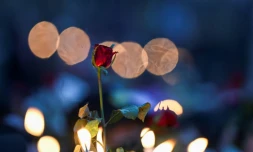 Bougies et roses brandies lors d'une veillée anti-junte militaire devant l'ambassade américaine à Rangoun, le 21 février 2021