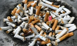 Des mégots de cigarettes sur une poubelle à Singapour, le 17 juillet 2019
