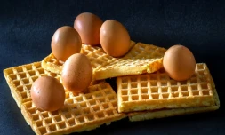 Certains élevages français de poules pondeuses ont utilisé de l'amitraze, un insecticide interdit pour les élevages de volailles