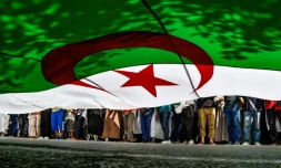 Des manifestants algériens brandissent un drapeau géant le 31 mai 2019 à Alger