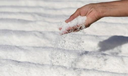 Le sel des marais de Macu Gomez et son époux Juan Carlos Sánchez de Lamadrid, à El Puerto de Santa Maria, le 14 september 2023