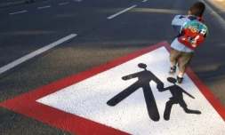 Une étude épidémiologique menée en France montre que l'exposition des femmes enceintes au bisphénol A, au triclosan et à certains phtalates, est associée à des troubles du comportement chez leurs petits garçons.