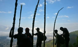 Les Palmeros perpétuent une tradition de 250 ans en cherchant des branches de palmiers pour le dimanche des Rameaux
Le 9 avril Ă Caracas