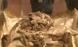 Restes de Saint François, exposés pour la premiÚre fois au public, dans la basilique Saint François à Assises, dans une capture vidéo de l'AFP du 21 février 2026