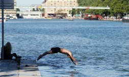 Un homme plonge dans les eaux du Bassin de la Villette à Paris le 26 mai 2017