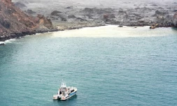 Des plongeurs recherchent samedi 14 décembre des corps de victimes de l'éruption d'un volcan sur White Island, une île néo-zélandaise