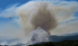 Des Canadair CL-415 de la Sécurité civile en action au-dessus d'un feu de forêt au col des Auzines, près de Trevillach, dans les Pyrénées-Orientales, le 5 juillet 2026l