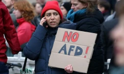 Manifestation contre l'extrême droite et contre le parti AfD notamment, à Berlin, le 14 janvier 2024