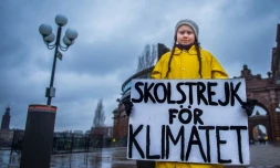 Greta Thunberg tient une pancarte indiquant "Grève scolaire pour le climat", face au Parlement suédois, le 30 novembre 2018 à Stockholm