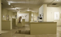 Exposition &quot;Métissages&quot; au musée Léon Dierx (Saint-Denis)