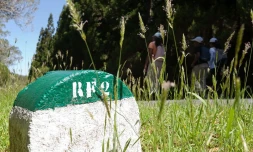 Balade dans la  forêt de Bélouve