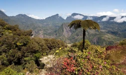 Balade dans la  forêt de Bélouve