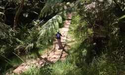 Balade dans la forêt de Bélouve