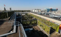Un jardin suspendu sur le toit du BHV Marais à Paris, le 27 février 2019