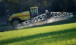 Un agriculteur avec un pulvérisateur de 36 mètres de large répand du "Lambdatine", un insecticide racinaire mélangé avec du"Foburi", un herbicide, près d'Illiers-Combray, dans le centre de la France, le 14 novembre 2024