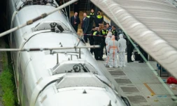 Des membres de la police scientifique et des policiers sur un quai de la gare centrale de Hambourg, où 18 personnes ont été blessées lors d'une attaque au couteau, le 23 mai 2025 en Allemagne