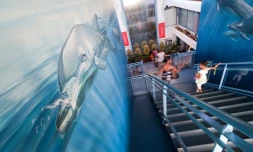 L'aquarium de La Réunion à Saint-Gilles
