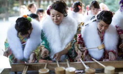 Des foules de jeunes femmes en kimonos sont allées prier au sanctuaire Meiji à Tokyo, niché au sein d'une véritable forêt en plein coeur de la ville.