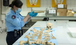Le lieutenant Gaëlle Placet anthropologue de l'IRCGN examine des ossements humains au Centre judiciaire de la gendarmerie française à Cergy dans le Val-d'Oise, le 22 novembre 2021