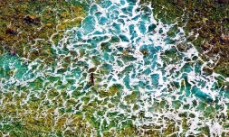 Photo Florent Borderie