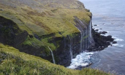 Ile de la Possession, archipel de Crozet (Photo : Laurent Besnard-Taaf)