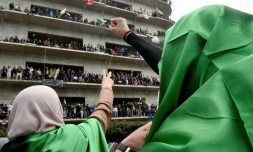 Manifestation dans les rues d'Alger le 8 mars  2019