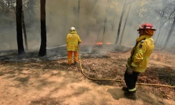 Des pompiers combattent un feu de forêt près de Batemans Bay dans l'Etat de Nouvelles Galles du Sud, en Australie, le 3 janvier 2020