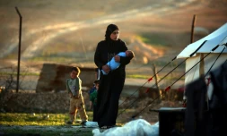 Une Syrienne tient son enfant dans ses bras,  dans un camp de réfugiés à Ain Issa, à 50 km de la ville de Raqa