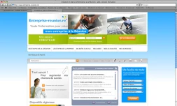 Portail interactif, www.entreprise-reunion.re