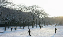 Un parc enneigé à Paris, le 18 janvier 2024