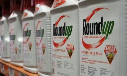 Bouteilles de Round'up, pesticide de  Monsanto, le 19 juin 2018 à Glendale (Californie)