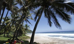 Plage de Grand Anse