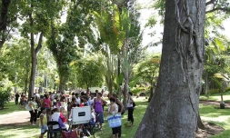 Carnaval au jardin de l'Etat