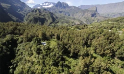 Cirque de Mafate