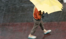 Pluie