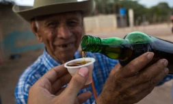 Le bouilleur de cru Dolores Gimenez, 84 ans, sert un verre de cocuy à Bobare (Venezuela) le 12 décembre 2019