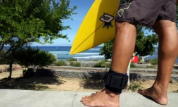 Un sufeur à La Réunion le 22 février 2019 portant un appareil électromagnétique censé éloigner les requins