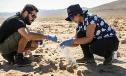 Les biologistes chiliens Cristiana Dorador et Jonathan Garcia prélèvent des fragments de sel pour les analyser, dans le désert d'Atacama, le 7 mars 2017 au Chili