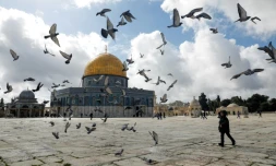 Un enfant joue sur l'esplanade des mosquées, à Jérusalem, le 31 janvier 2020
