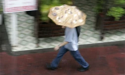 Pluie