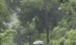 Pluie