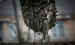 Des déchets sortis de l'eau de la Seine à Rouen, le 28 mars 2023