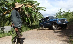 Nouvelle baisse de la délinquance en février